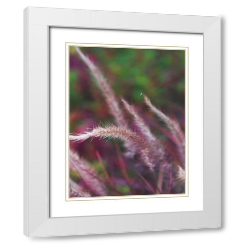 Purple Plumes I White Modern Wood Framed Art Print with Double Matting by Quintero, Sonja