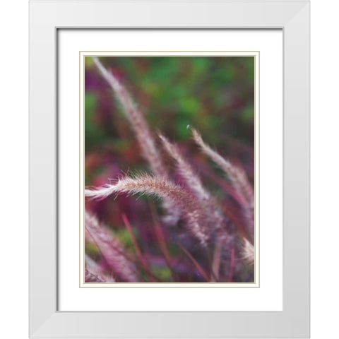Purple Plumes I White Modern Wood Framed Art Print with Double Matting by Quintero, Sonja