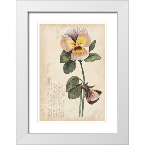 Garden Studies I White Modern Wood Framed Art Print with Double Matting by Popp, Grace