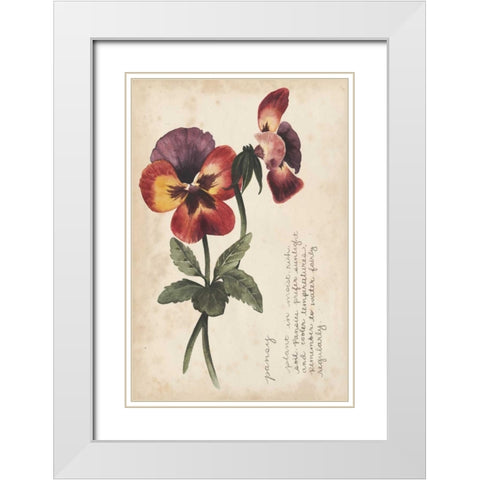 Garden Studies II White Modern Wood Framed Art Print with Double Matting by Popp, Grace