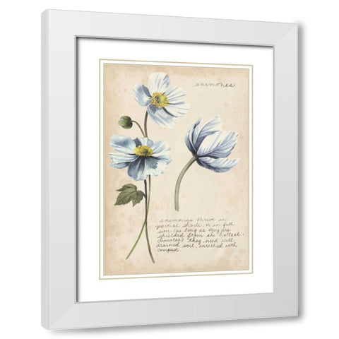 Garden Studies III White Modern Wood Framed Art Print with Double Matting by Popp, Grace