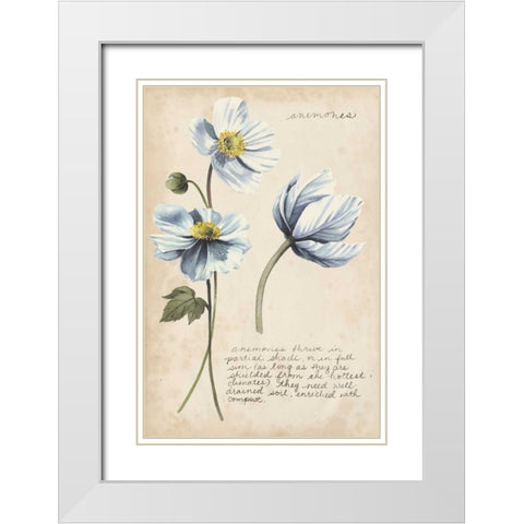 Garden Studies III White Modern Wood Framed Art Print with Double Matting by Popp, Grace