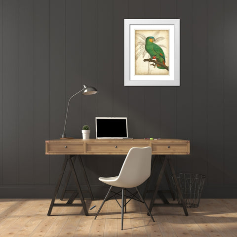 Custom Parrot and Palm I White Modern Wood Framed Art Print with Double Matting by Vision Studio