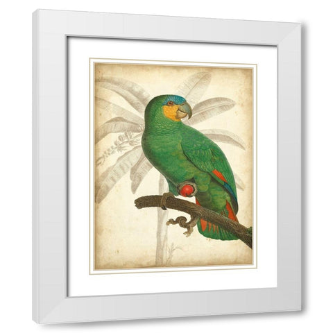 Custom Parrot and Palm I White Modern Wood Framed Art Print with Double Matting by Vision Studio