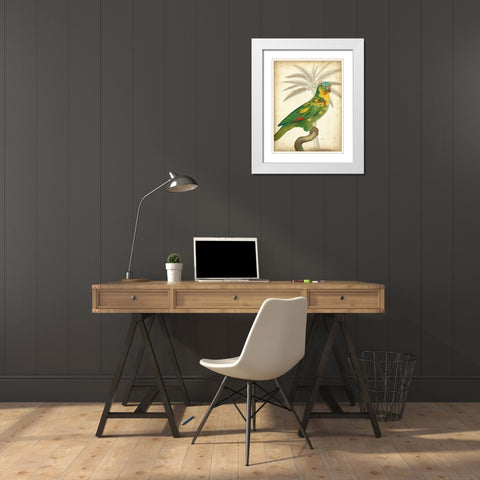 Custom Parrot and Palm II White Modern Wood Framed Art Print with Double Matting by Vision Studio