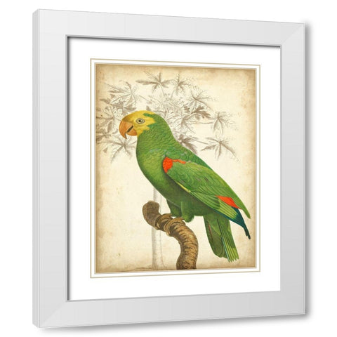 Custom Parrot and Palm III White Modern Wood Framed Art Print with Double Matting by Vision Studio
