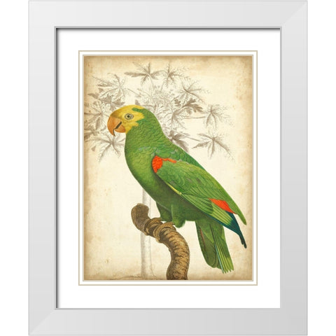 Custom Parrot and Palm III White Modern Wood Framed Art Print with Double Matting by Vision Studio