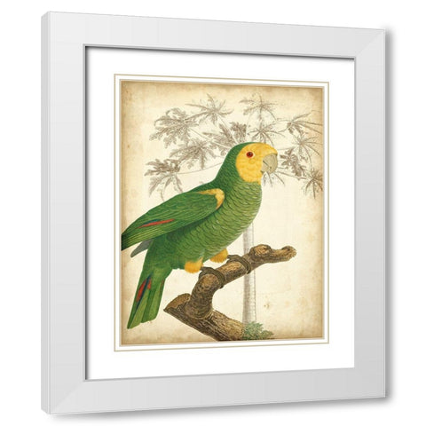 Custom Parrot and Palm IV White Modern Wood Framed Art Print with Double Matting by Vision Studio