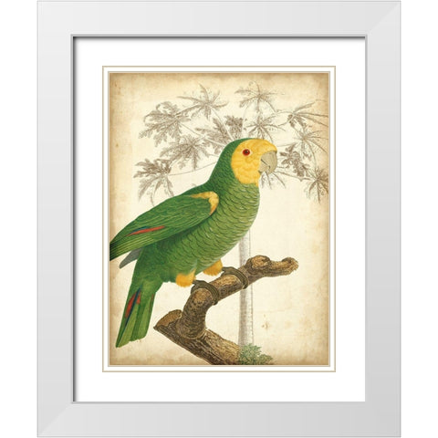 Custom Parrot and Palm IV White Modern Wood Framed Art Print with Double Matting by Vision Studio