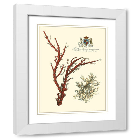 Custom Imperial Coral I White Modern Wood Framed Art Print with Double Matting by Vision Studio