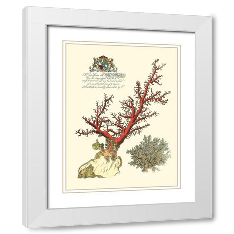 Custom Imperial Coral II White Modern Wood Framed Art Print with Double Matting by Vision Studio