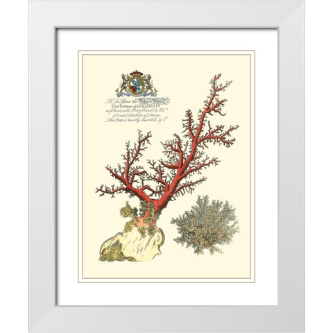 Custom Imperial Coral II White Modern Wood Framed Art Print with Double Matting by Vision Studio