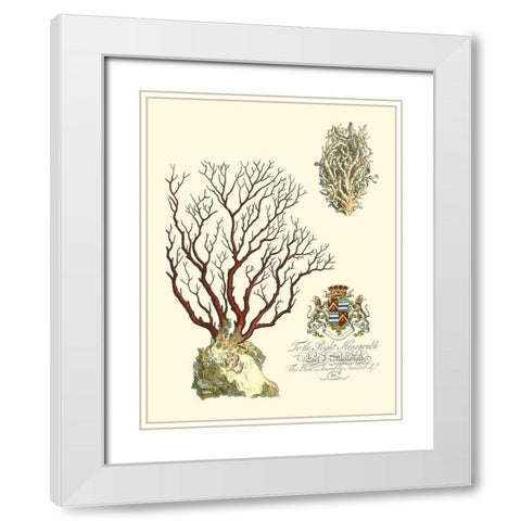 Custom Imperial Coral III White Modern Wood Framed Art Print with Double Matting by Vision Studio