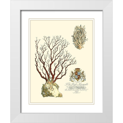 Custom Imperial Coral III White Modern Wood Framed Art Print with Double Matting by Vision Studio