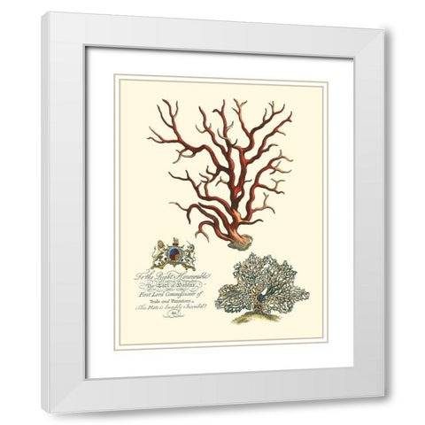 Custom Imperial Coral IV White Modern Wood Framed Art Print with Double Matting by Vision Studio