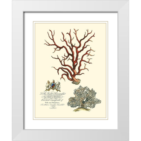 Custom Imperial Coral IV White Modern Wood Framed Art Print with Double Matting by Vision Studio