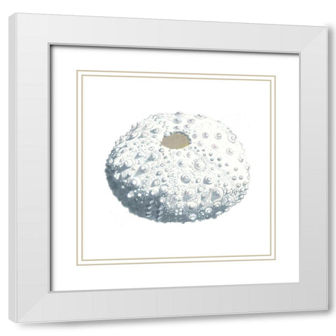Seashore Souvenirs II White Modern Wood Framed Art Print with Double Matting by McCavitt, Naomi