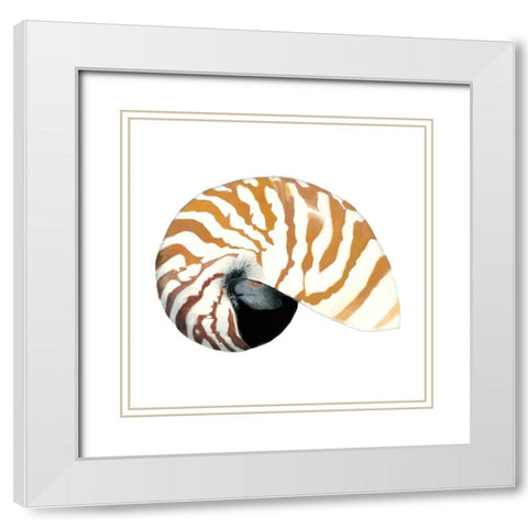 Seashore Souvenirs III White Modern Wood Framed Art Print with Double Matting by McCavitt, Naomi
