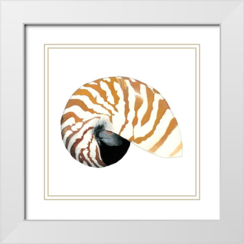 Seashore Souvenirs III White Modern Wood Framed Art Print with Double Matting by McCavitt, Naomi