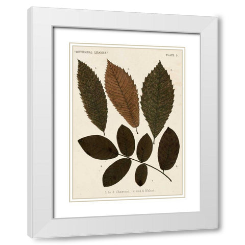 Autumnal Leaves I White Modern Wood Framed Art Print with Double Matting by Vision Studio