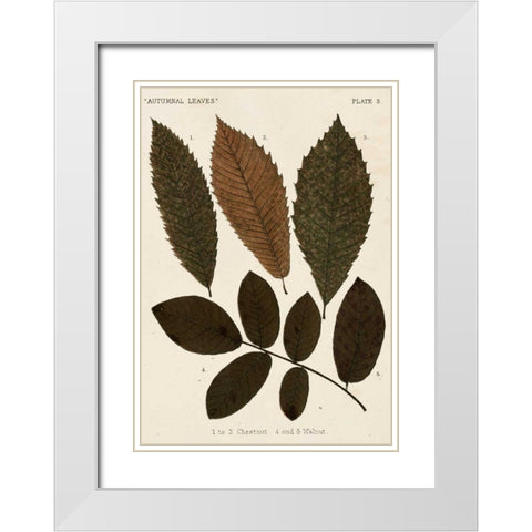 Autumnal Leaves I White Modern Wood Framed Art Print with Double Matting by Vision Studio