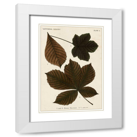 Autumnal Leaves III White Modern Wood Framed Art Print with Double Matting by Vision Studio