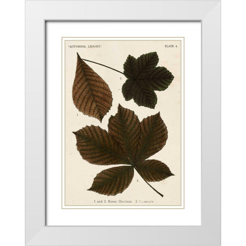 Autumnal Leaves III White Modern Wood Framed Art Print with Double Matting by Vision Studio