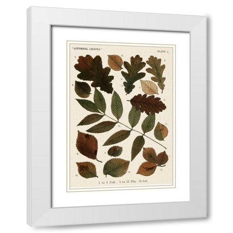 Autumnal Leaves V White Modern Wood Framed Art Print with Double Matting by Vision Studio