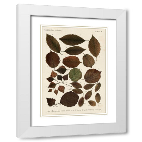 Autumnal Leaves VI White Modern Wood Framed Art Print with Double Matting by Vision Studio