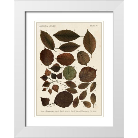 Autumnal Leaves VI White Modern Wood Framed Art Print with Double Matting by Vision Studio