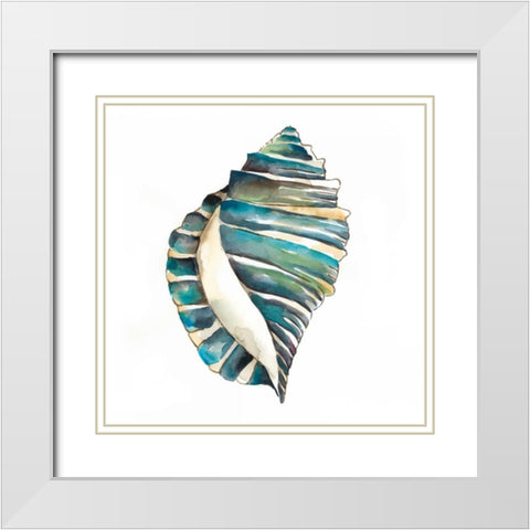 Aquarelle Shells I White Modern Wood Framed Art Print with Double Matting by Zarris, Chariklia