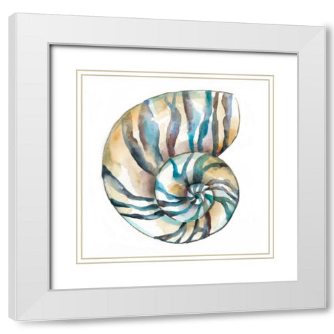 Aquarelle Shells II White Modern Wood Framed Art Print with Double Matting by Zarris, Chariklia