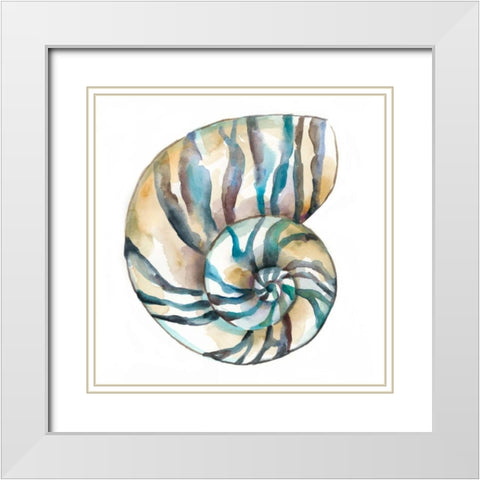 Aquarelle Shells II White Modern Wood Framed Art Print with Double Matting by Zarris, Chariklia