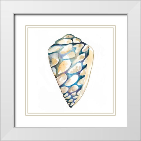 Aquarelle Shells III White Modern Wood Framed Art Print with Double Matting by Zarris, Chariklia