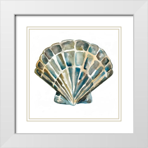 Aquarelle Shells IV White Modern Wood Framed Art Print with Double Matting by Zarris, Chariklia