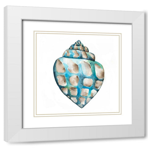 Aquarelle Shells V White Modern Wood Framed Art Print with Double Matting by Zarris, Chariklia