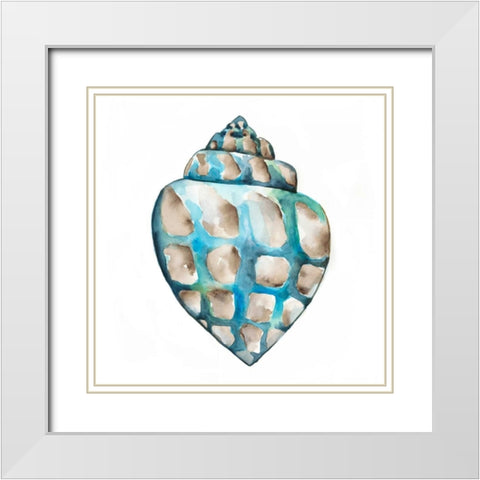 Aquarelle Shells V White Modern Wood Framed Art Print with Double Matting by Zarris, Chariklia