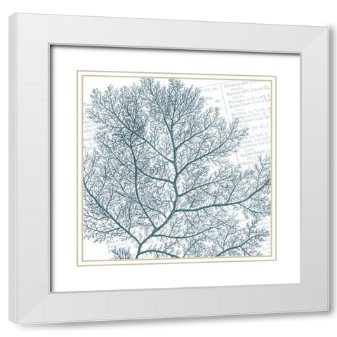 Aqua Marine II White Modern Wood Framed Art Print with Double Matting by Hambly, Anna