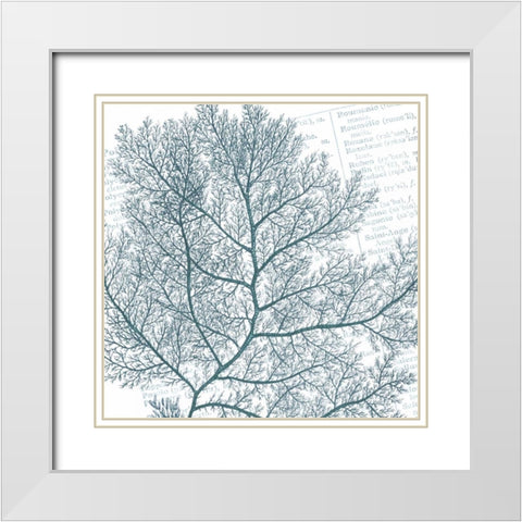 Aqua Marine II White Modern Wood Framed Art Print with Double Matting by Hambly, Anna