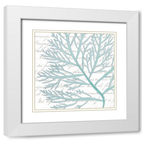 Aqua Marine VI White Modern Wood Framed Art Print with Double Matting by Hambly, Anna