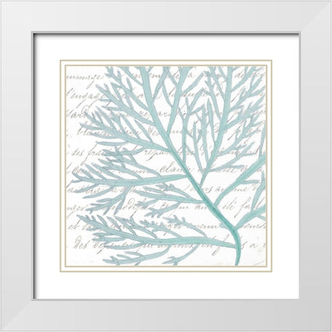 Aqua Marine VI White Modern Wood Framed Art Print with Double Matting by Hambly, Anna
