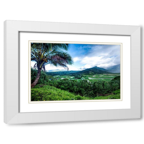Hanalei Valley White Modern Wood Framed Art Print with Double Matting by Head, Danny