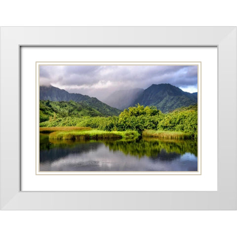 Coastal Marsh III White Modern Wood Framed Art Print with Double Matting by Head, Danny