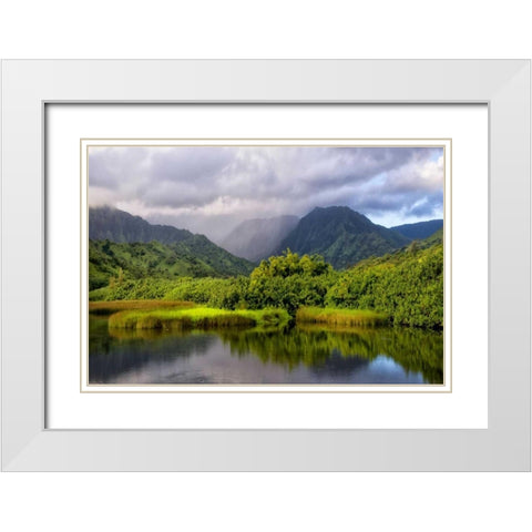 Coastal Marsh IV White Modern Wood Framed Art Print with Double Matting by Head, Danny