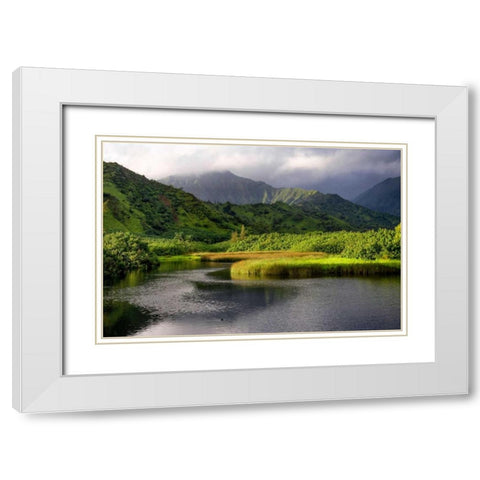 Coastal Marsh V White Modern Wood Framed Art Print with Double Matting by Head, Danny