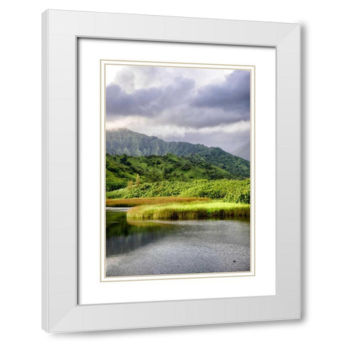 Coastal Marsh Triptych II White Modern Wood Framed Art Print with Double Matting by Head, Danny