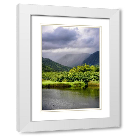 Coastal Marsh Triptych III White Modern Wood Framed Art Print with Double Matting by Head, Danny