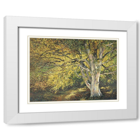 Custom Golden Light I (ASH) White Modern Wood Framed Art Print with Double Matting by Reynolds, Graham