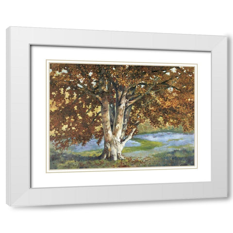 Custom Golden Light II (ASH) White Modern Wood Framed Art Print with Double Matting by Reynolds, Graham