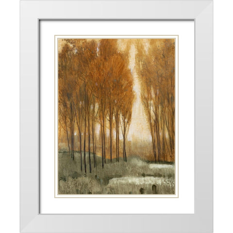 Custom Golden Forest II (ASH) White Modern Wood Framed Art Print with Double Matting by OToole, Tim